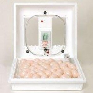  Miller 9200 Little Giant Still Air poultry, chicken, Egg Incubator