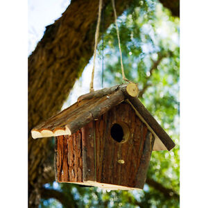 Details about Solid Wood Natural Hanging Bird House / Perch ZLY8062