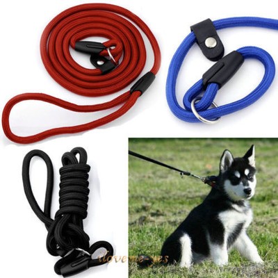 Pro Pet Dog Nylon Rope Training Leash ...