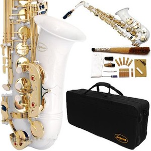 WHITE-Gold-Eb-ALTO-SAXOPHONE-Sax-Lazarro-11-REEDS-TUNER-BOOK-CASE-CARE ...