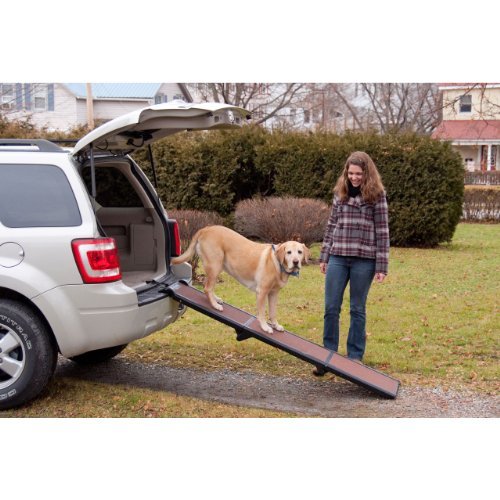 Folding Pet Ramp Portable Steps Travel Pet ...