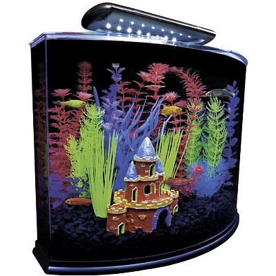 GloFish 29045 Aquarium Kit with Blue LED ...