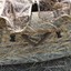 Goose hunting blind camo