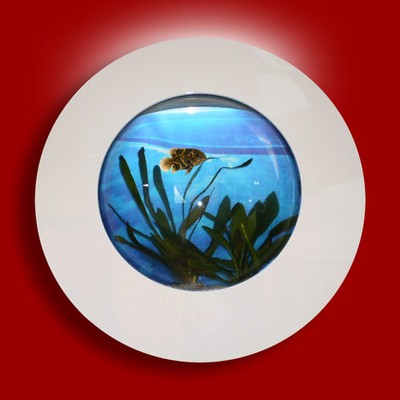 NEW! AUSSIE AQUARIUM - PORTHOLE ALUMINUM WALL ...