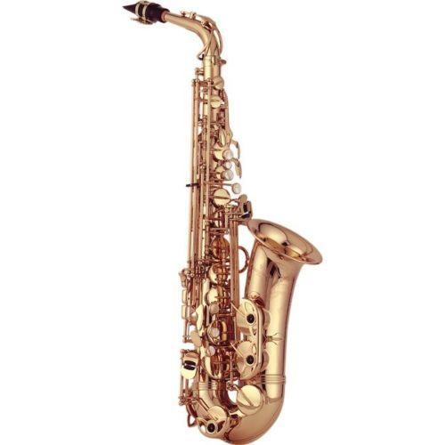 Yanagisawa Alto