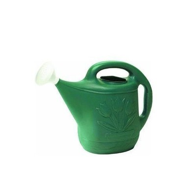 Novelty MFG 30301 Watering Can, 2-Gallon, Green ...