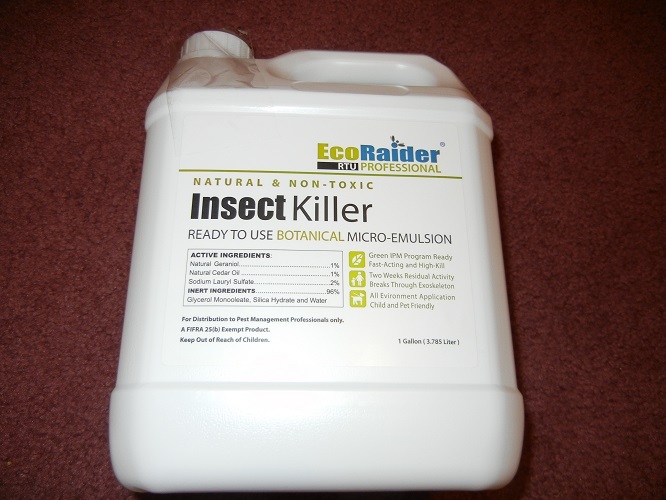 UPC 853904004045 product image for Ecoraider Insect Killer 1 Gallon Rtu Natural Non Toxic Roaches, Ants Bed Bugs | upcitemdb.com