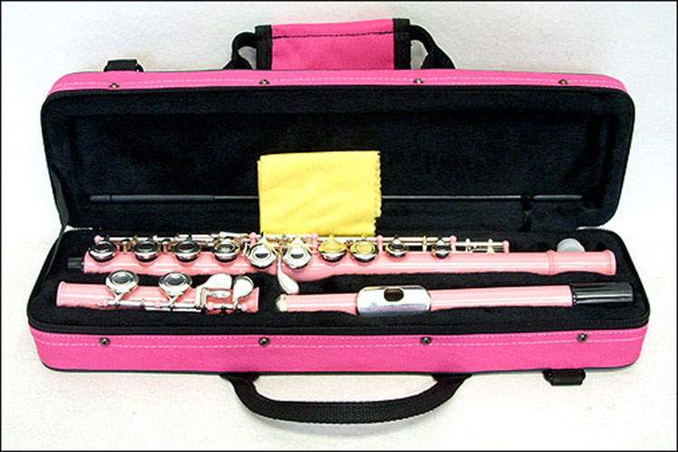 **GREAT GIFT**Light Pink Closed Hole Flute with Pink Carrying Case CLEARANCE eBay
