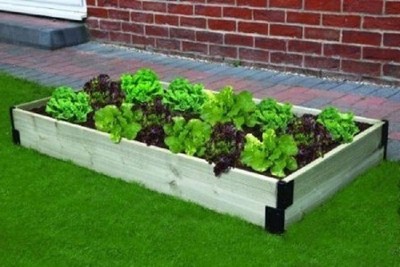 Box Garden Kit Box Garden Kit