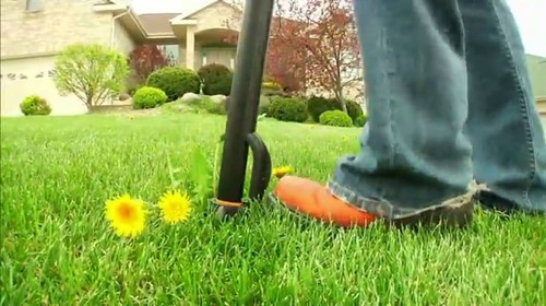 Garden tool No Kneeling Fiskars Uproot Weed ...