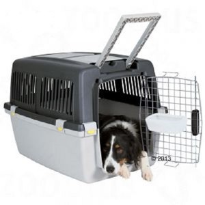 Trasportino per cani aereo usato
