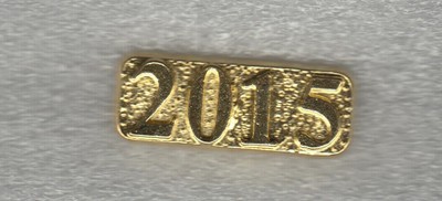 Senior Class of 2015 Letterman Jacket Pin ...