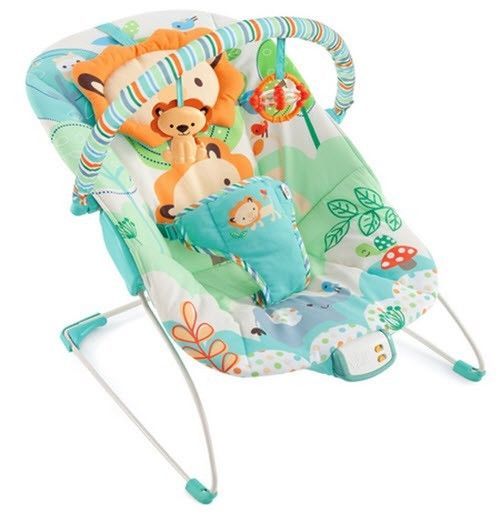 Top Features to Look for in a Baby Bouncer eBay