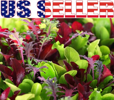 500+ ORGANIC Microgreens Mix 40 Varieties Superfood ...