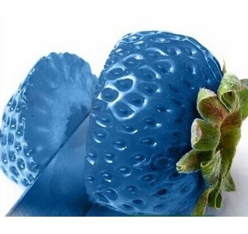 FD792-Blue-Strawberry-Seeds-Nutritious-Delicious-Fruits-Seed-Strawberries-50PCs