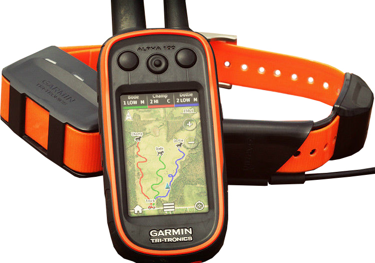 Top 10 Shock Collars eBay