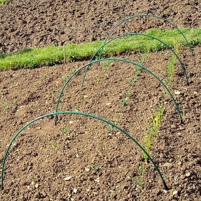Green Garden Hoops pack of 10 & 20 Anchors