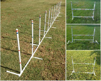 Dog Agility Equipment 4-in-1 Weave Poles and ...