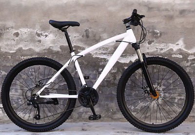 24" White Fixed Gear Bike Carbon Steel Outdoor Sports Speed Change Urban Bike