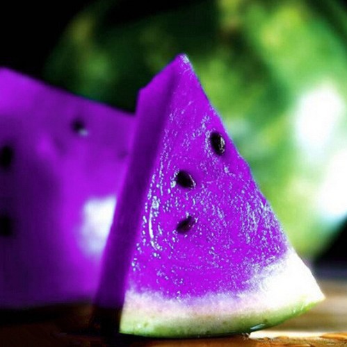 FD804-Rare-Sweet-Watermelon-Seeds-Fruit-Garden-Seed-Purple-10PCs-Free-Shipping