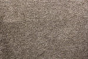 Dirt Trapper Mats Door Mats Floor Mats Mince His Words