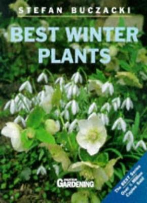 Best Winter Plants (