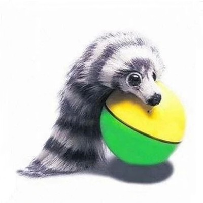 Hot Pet Dog Puppy Cat Rolling Ball ...