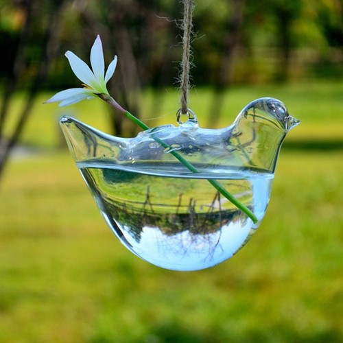 New Hanging Glass Plants Flower Vase Hydroponic ...