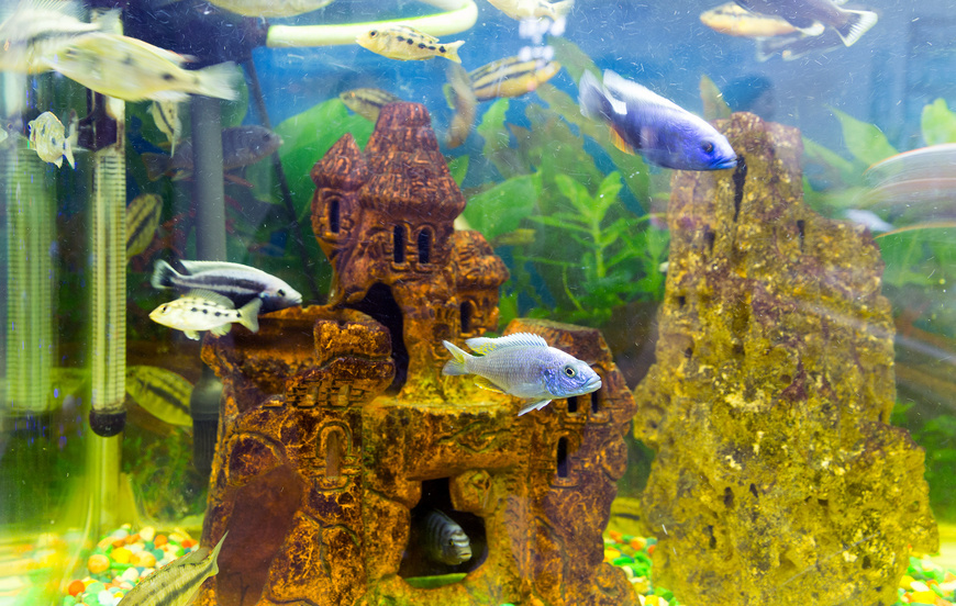 How to Make an Aquarium Cave eBay