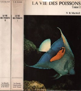 rencontres isle sur la sorgue