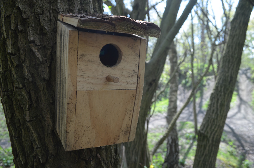 How to Make a Squirrel Nesting Box  eBay
