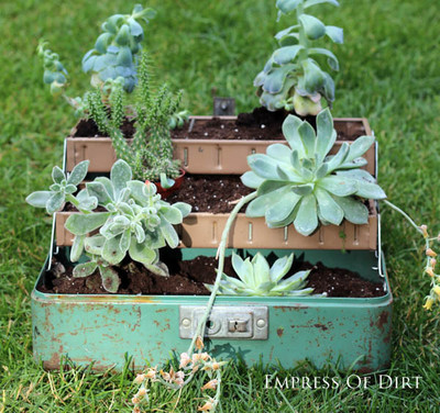 Succulent Garden Ideas | eBay