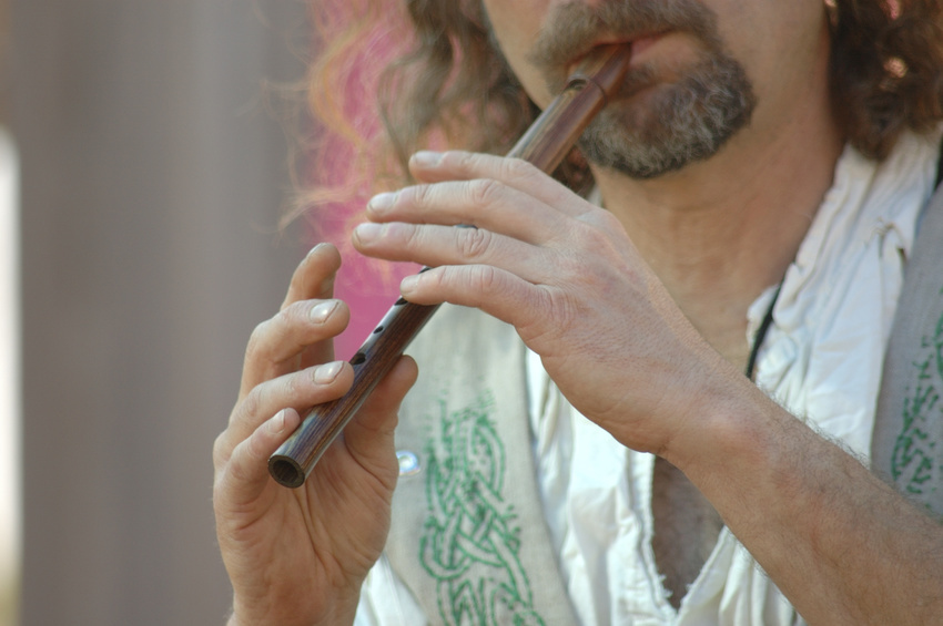 How to Play an Irish Flute eBay