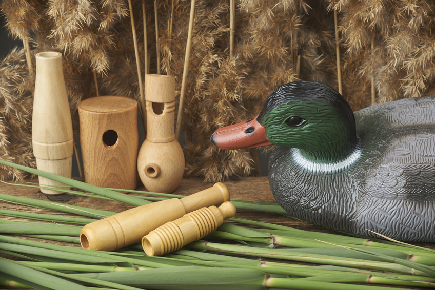 How to Carve a Duck Head | eBay