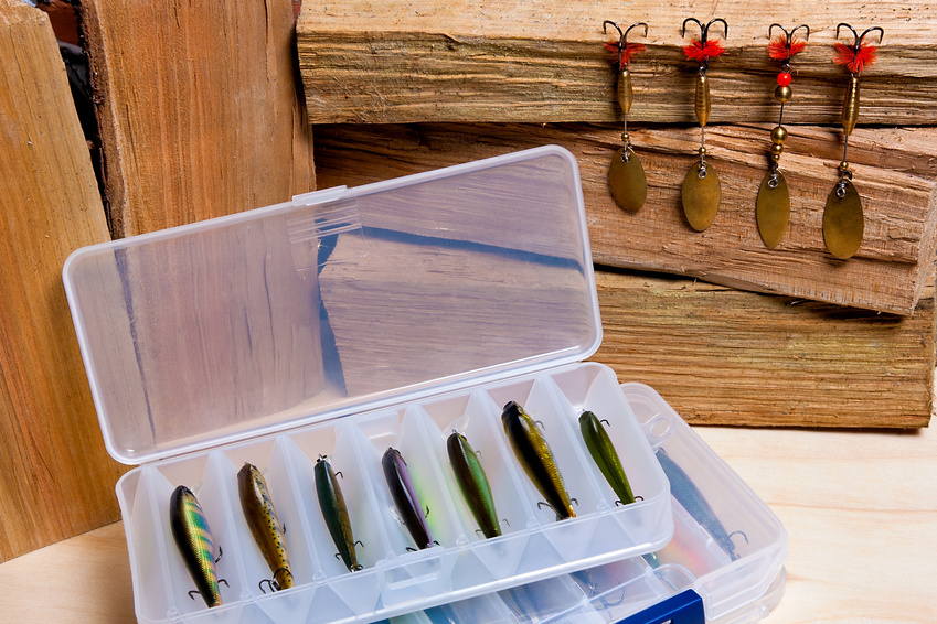 What Are the Best Walleye Jigs? eBay