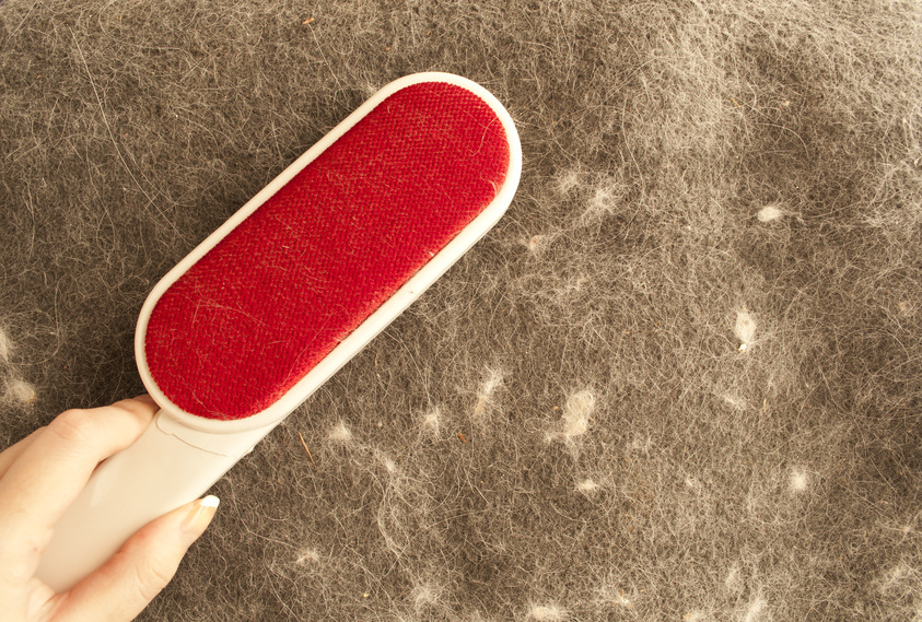 How to Clean a Lint Brush eBay