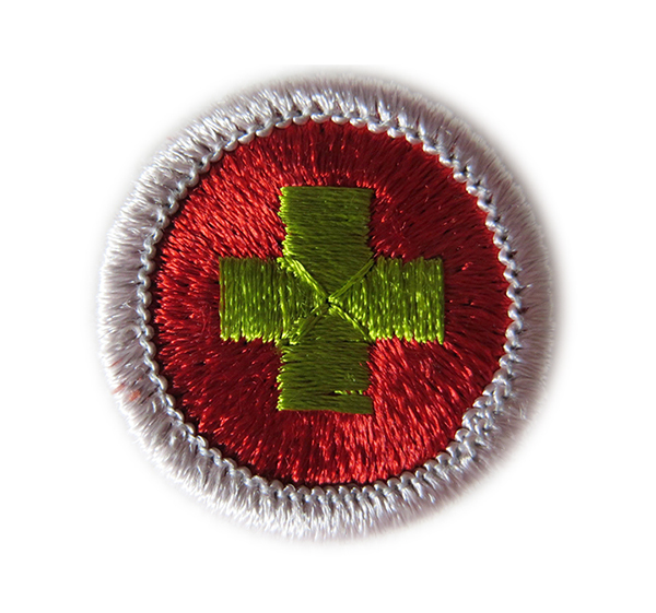 Top 8 Boy Scout Badges eBay