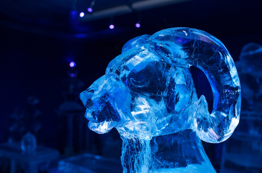 How to Make an Ice Sculpture Mold eBay