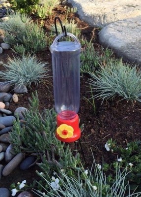 2X Nature Hummingbird Feeder Nectar Flower Bottle ...