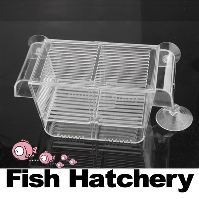 Fish Hatchery Spawn Isolation Box Aquarium Breeding ...