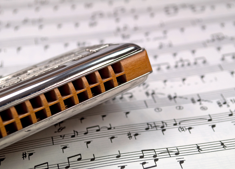 How to Make a Harmonica Case eBay