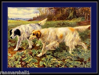 English Picture Print English Setter Dog Dogs ...