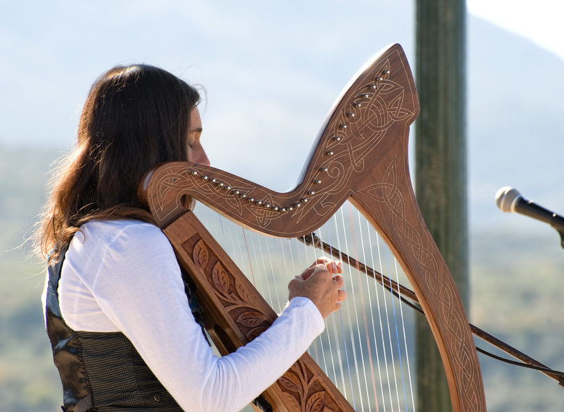 How to Tune a 22String Harp eBay