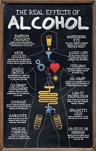 THE REAL EFFECTS OF ALCOHOL - POSTER - 24x36 CHART FUNNY COLLEGE 10020