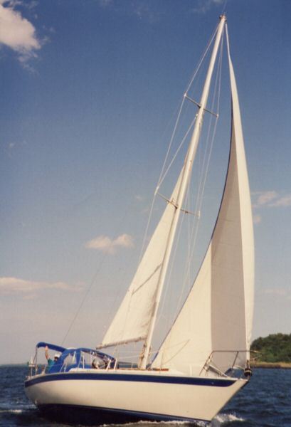 Irwin Competition 37