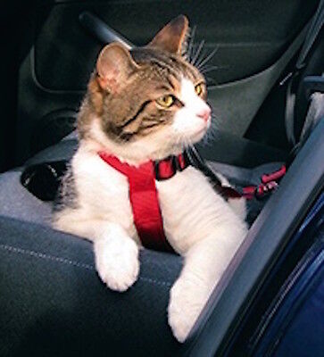 Trixie Cat Car Harness Attaches To Seat ...
