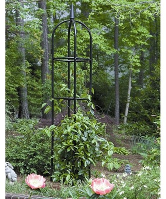 Metal Garden Obelisk Trellis 6.5 Foot Black ...