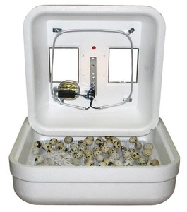 Pet Supplies &gt; Bird Supplies &gt; Incubators