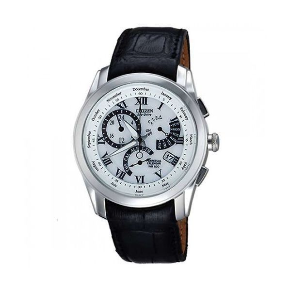 citizen eco drive adjust watch band