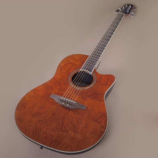 Top 10 Electric Acoustic Guitars eBay
